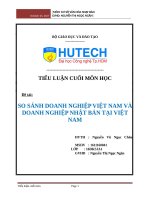 So sánh doanh nghiệp Việt Nam và doanh nghiệp Nhật Bản tại Việt Nam