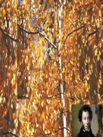 Tuần 28. Người cầm quyền khôi phục uy quyền