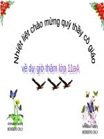 Tuần 4. Bài ca ngất ngưởng