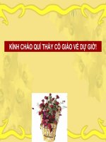 Tuần 7. Thực hành về nghĩa của từ trong sử dụng