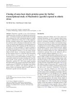 DSpace at VNU: Cloning of some heat shock proteins genes for further transcriptional study of Planktothrix agardhii exposed to abiotic stress