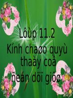 Tuần 26. Luyện tập viết tiểu sử tóm tắt