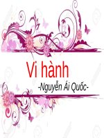 Tuần 15. Đọc thêm: Vi hành