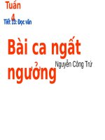 Tuần 4. Bài ca ngất ngưởng