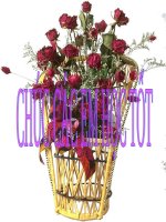 Tuần 28. Luyện tập về từ Hán Việt