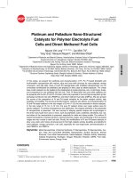 DSpace at VNU: Platinum and Palladium Nano-Structured Catalysts for Polymer Electrolyte Fuel Cells and Direct Methanol Fuel Cells