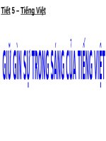 Tuần 2. Giữ gìn sự trong sáng của tiếng Việt