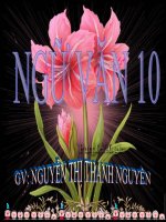 Tuần 14. Phong cách ngôn ngữ sinh hoạt (tiếp theo)