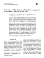 DSpace at VNU: Fabrication of PDMS-Based Microfluidic Devices: Application for Synthesis of Magnetic Nanoparticles