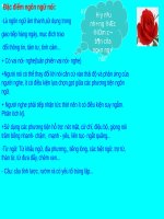 Tuần 12. Phong cách ngôn ngữ sinh hoạt