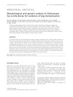 DSpace at VNU: Morphological and genetic analysis of Vietnamese Sus scrofa bones for evidence of pig domestication