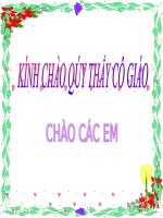 Tuần 27. Người trong bao