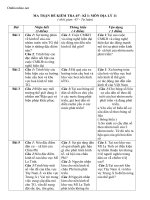 ma tran de kiem tra 45 phut ki 2 dia 11 56624