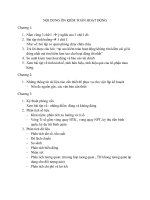 NỘI DUNG ôn KIỂM TOÁN HOẠT ĐỘNG 