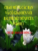 hào khí đông a