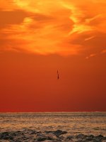 Tuần 30. Chí khí anh hùng