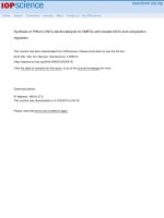 DSpace at VNU: Synthesis of PtRu C-CNTs electrocatalysts for DMFCs with treated-CNTs and composition regulation