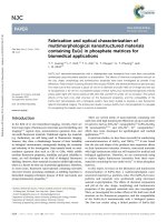 DSpace at VNU: Fabrication and optical characterization of multimorphological nanostructured materials containing Eu(III) in phosphate matrices for biomedical applications