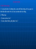 Tuần 10. Ca dao hài hước