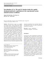 DSpace at VNU: Investigation of As, Mn and Fe fixation inside the aquifer during groundwater exploitation in the experimental system imitated natural conditions