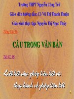Tuần 16. Thực hành về sử dụng một số kiểu câu trong văn bản