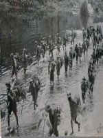 Tuần 7. Tây Tiến