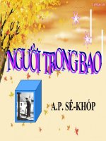 Tuần 27. Người trong bao