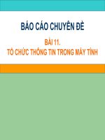 BAO CAO CHUYEN DE BAI 11 TO CHUC THONG TIN