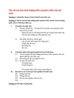 Yếu tố văn hóa ảnh hưởng đến sự phát triển của kế toán 