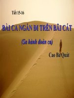 Tuần 4. Bài ca ngắn đi trên bãi cát (Sa hành đoản ca)