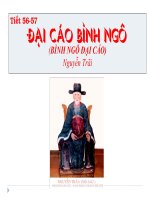 Tuần 20. Đại cáo bình Ngô (Bình Ngô đại cáo - tiếp theo)