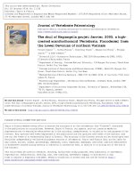 DSpace at VNU: The skull of Hagiangella goujeti Janvier, 2005, a high-crested acanthothoracid (Vertebrata, Placodermi) from the Lower Devonian of northern Vietnam