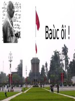 Tuần 14. Đọc thêm: Bác ơi!