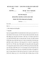 Bài thu hoạch bồi dưỡng thường xuyên tiểu học module 4 