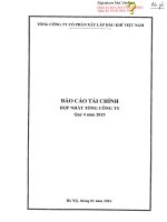 PVX CBTT BCTC Hop nhat quy IV nam 2015 signed