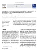 DSpace at VNU: Capillary electrochromatography with contactless conductivity detection for the determination of some inorganic and organic cations using monolithic octadecylsilica columns