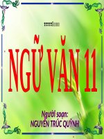 Tuần 28. Người cầm quyền khôi phục uy quyền