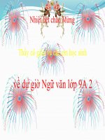 Bài 26. Chương trình địa phương (phần tiếng việt)