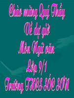 Bài 30. Tổng kết về ngữ pháp (tiếp theo)