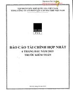 PVX CBTT BC TC hop nhat Quy 2 nam 2015 signed