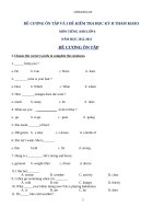 de cuong de kiem tra hkii tieng anh 6 64555