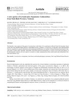 DSpace at VNU: A new species of Cyrtodactylus (Squamata: Gekkonidae) from Ninh Binh Province, Vietnam