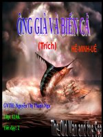 Tuần 28. Ông già và biển cả