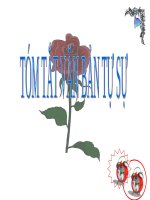 Tuần 13. Tóm tắt văn bản tự sự (dựa theo nhân vật chính)