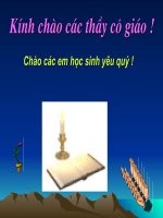 Tuần 7. Thực hành về nghĩa của từ trong sử dụng