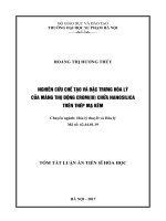 Nghiên cứu chế tạo và đặc trưng hóa lý của màng thụ động crom(III) chứa nanosilica trên thép mạ kẽm (tt)