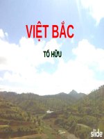 Tuần 8. Việt Bắc