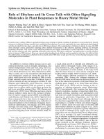 DSpace at VNU: Role of Ethylene and Its Cross Talk with Other Signaling Molecules in Plant Responses to Heavy Metal Stress