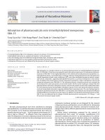 DSpace at VNU: Adsorption of pharmaceuticals onto trimethylsilylated mesoporous SBA-15