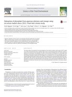 DSpace at VNU: Adsorption of phosphate from aqueous solutions and sewage using zirconium loaded okara (ZLO): Fixed-bed column study